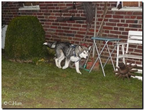 Aleshanee 2-2009 031.jpg